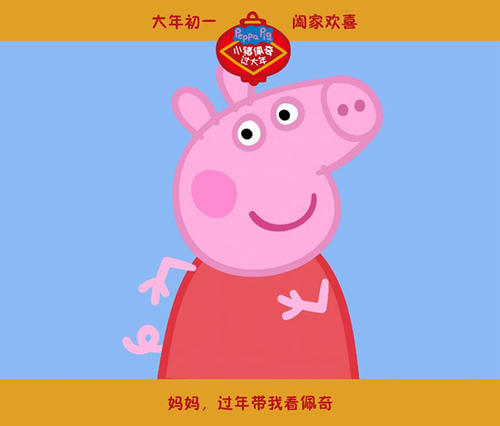 南荷兰音乐学院会计文凭证书